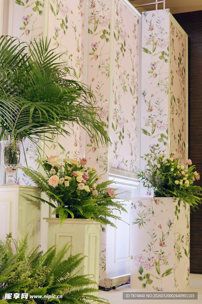 花卉绿植装点的温馨空间