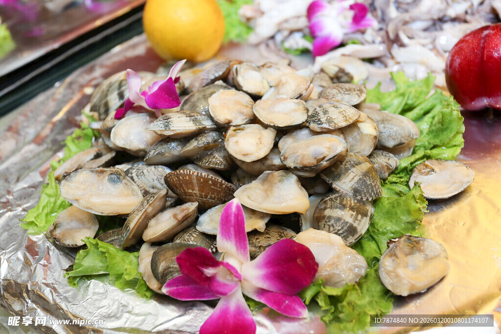 新鲜蛤蜊摆盘 美味诱人