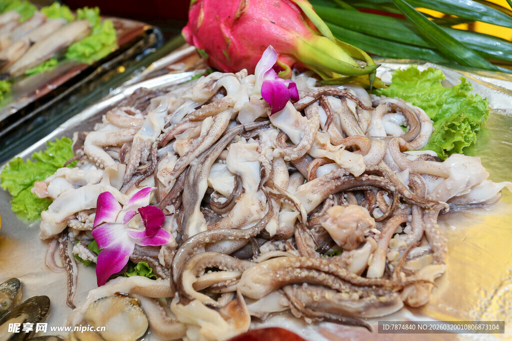 新鲜鱿鱼 多样海鲜美味呈现