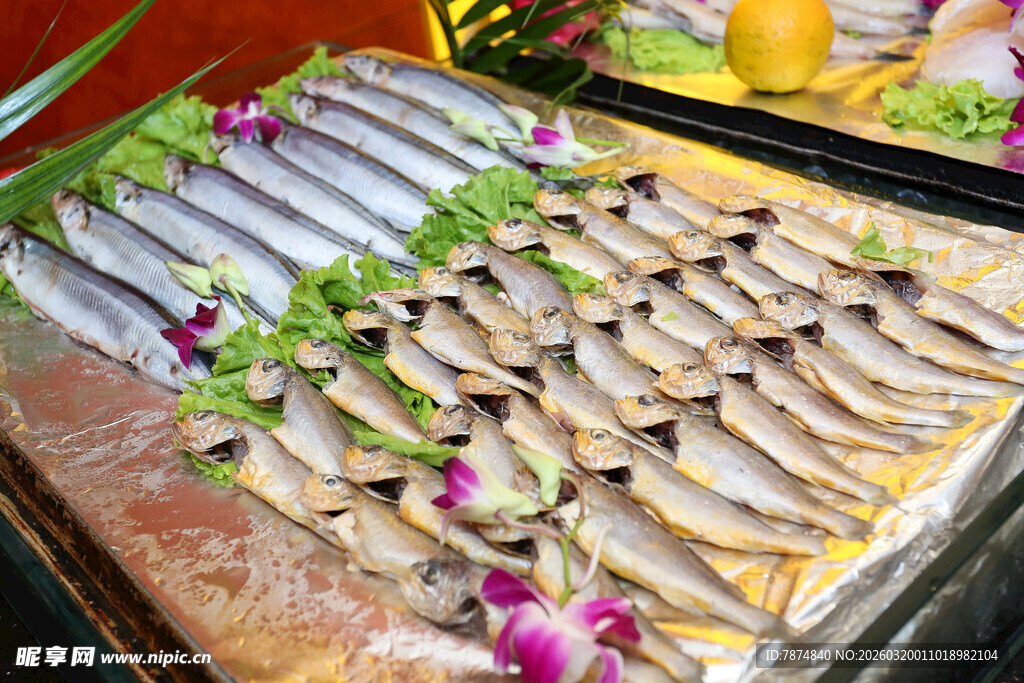 新鲜多样海鱼陈列展示