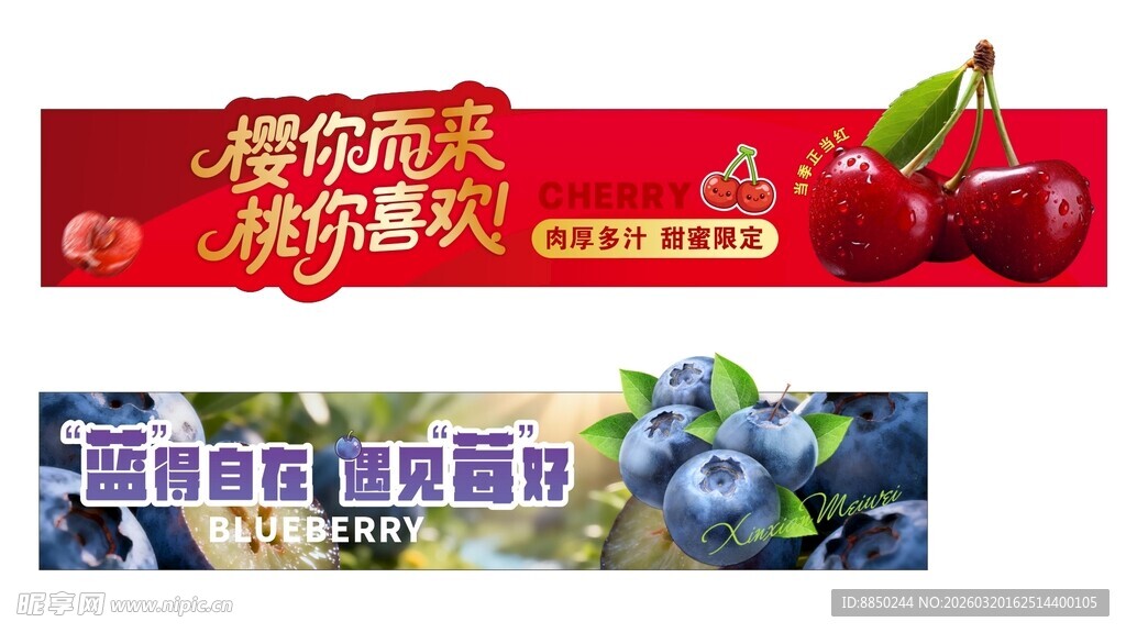 蓝莓樱桃展板