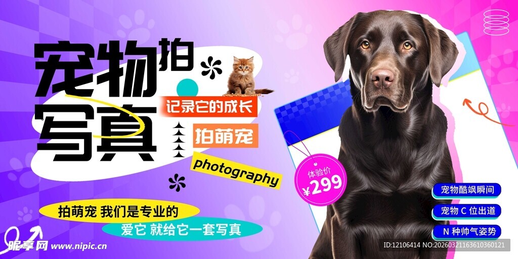宠物拍摄特惠写真活动