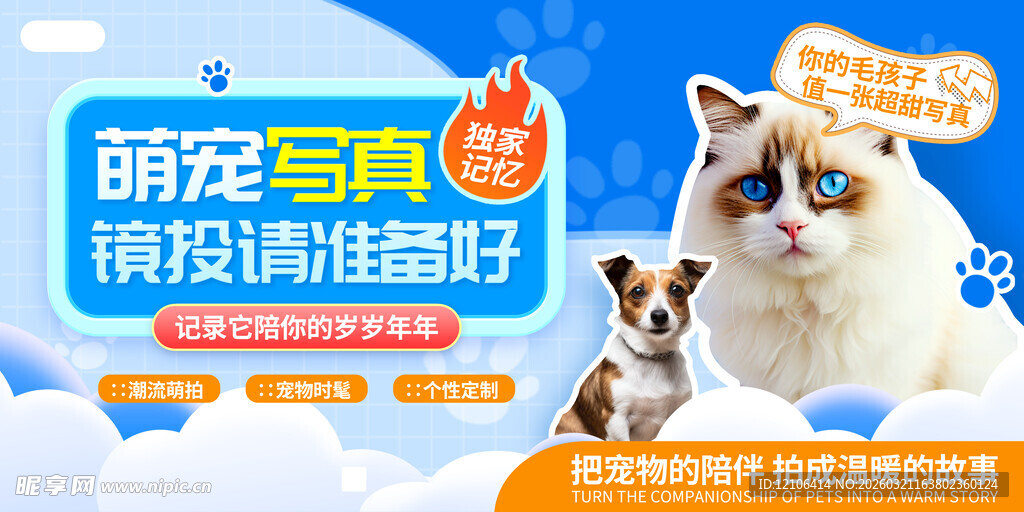 宠物摄影写真