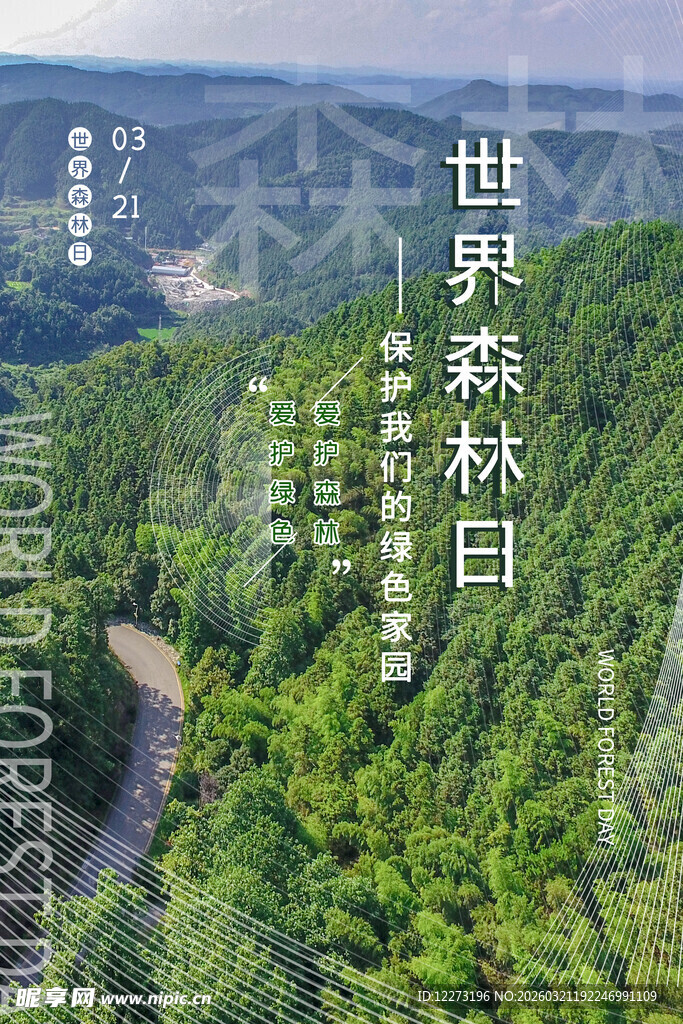 世界森林日 