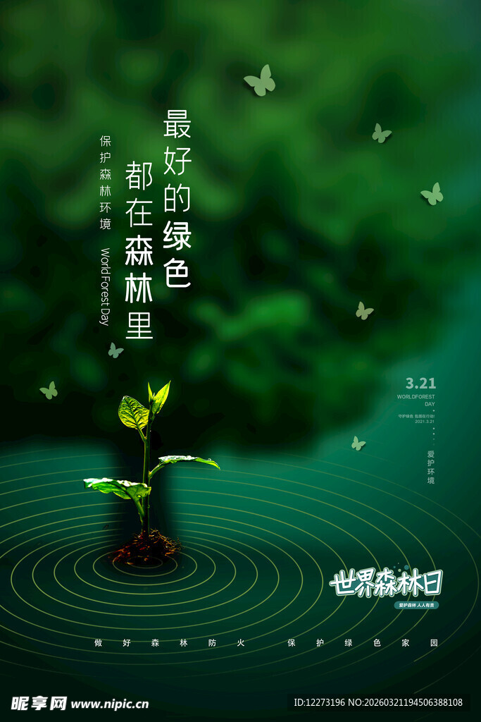 萌芽于水间的绿意生机