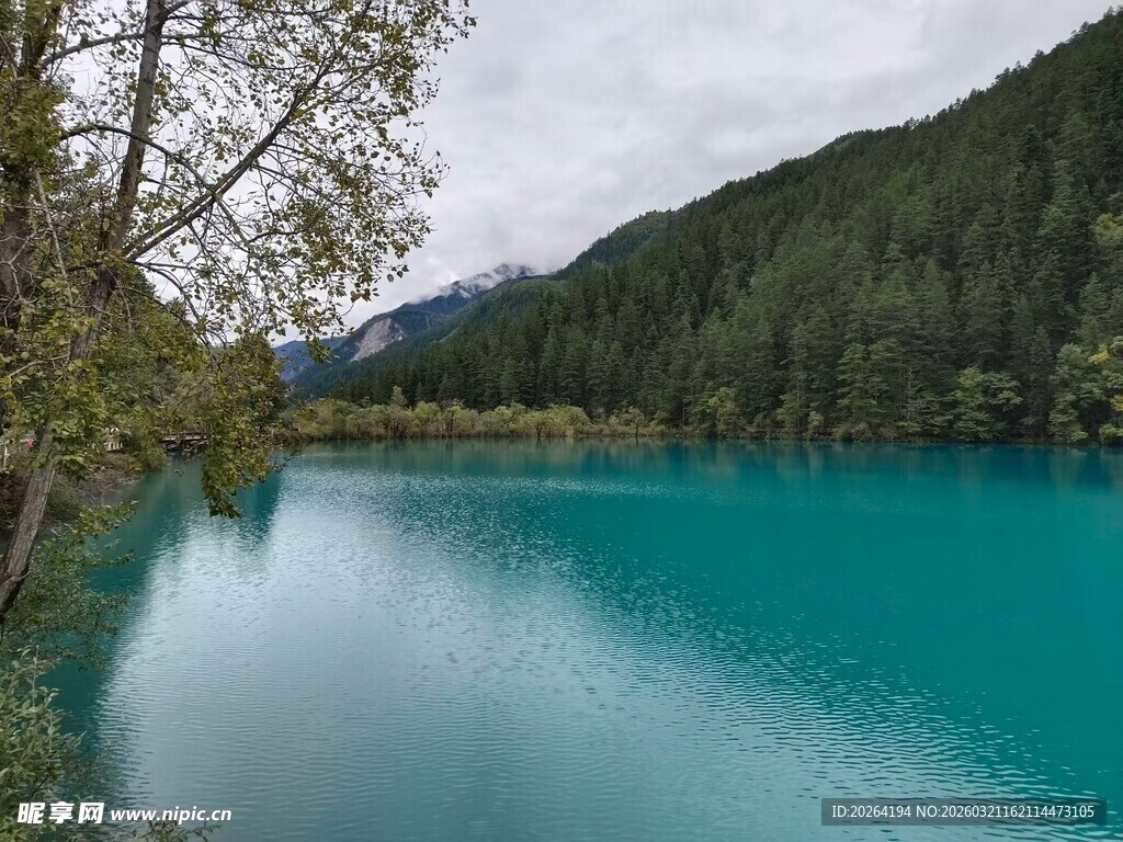  自然风光 九寨沟风景 