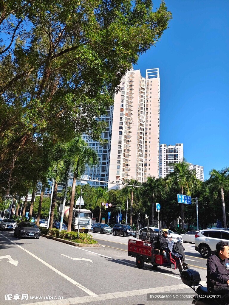 城市街道旁的高楼与车辆