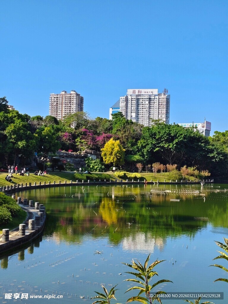 公园的湖面及倒影