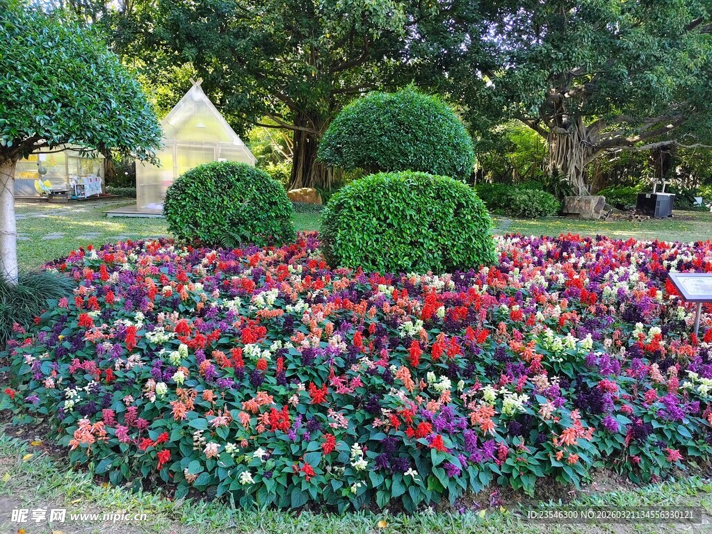 多彩花卉与造型绿植景观