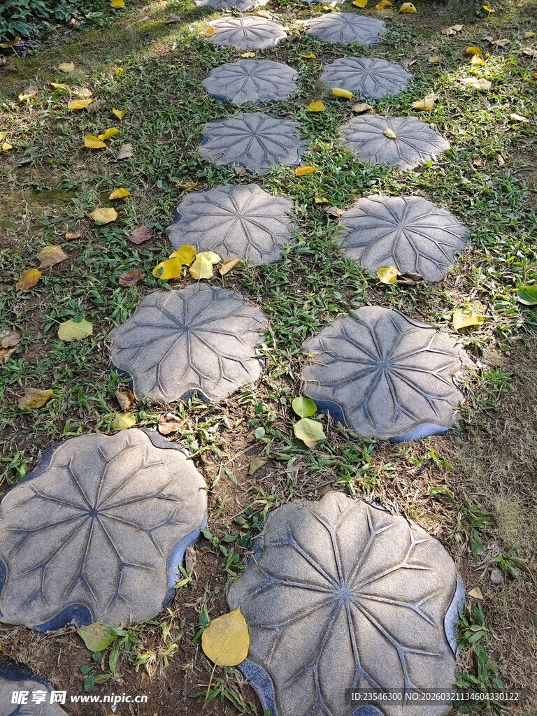 荷叶形石板小径