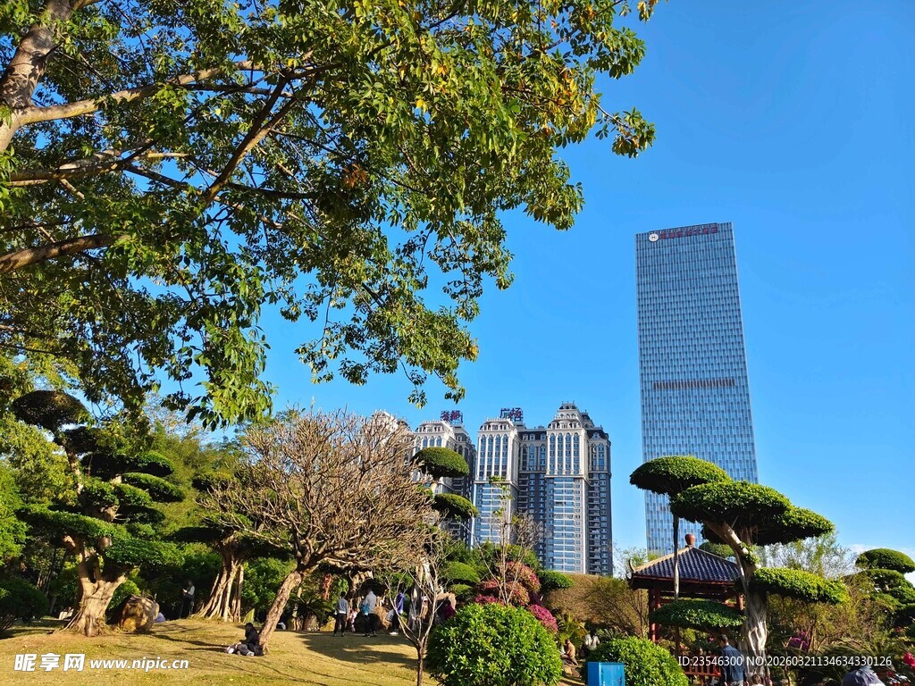 城市园林与摩天大楼景观