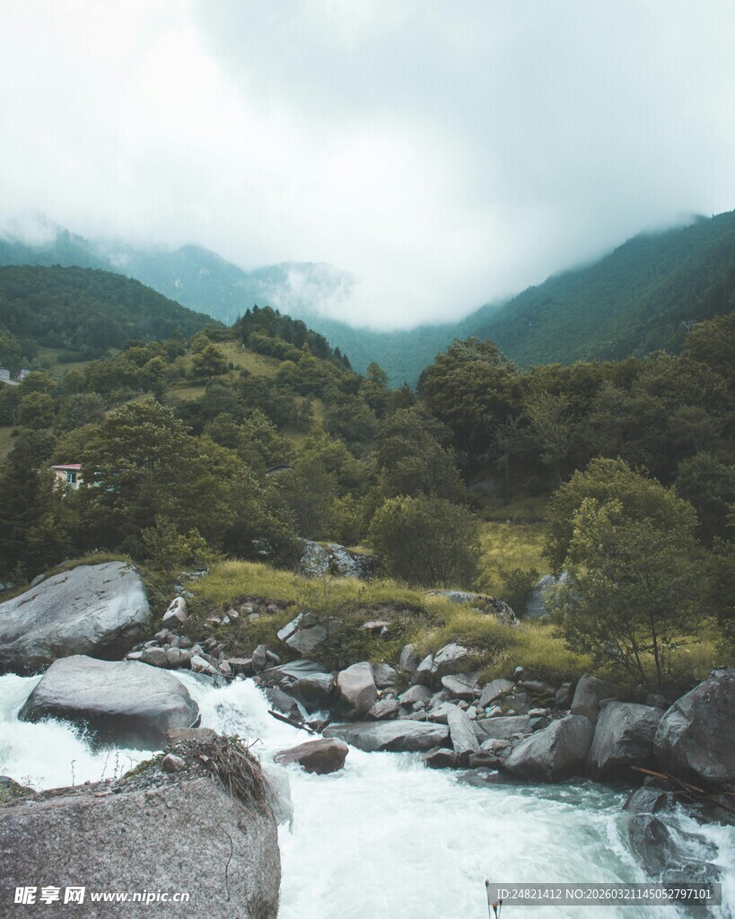 山间溪流旁的自然美景