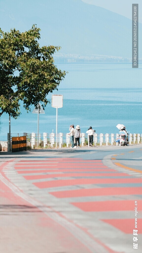 海滨道路旁的绿树与栏杆