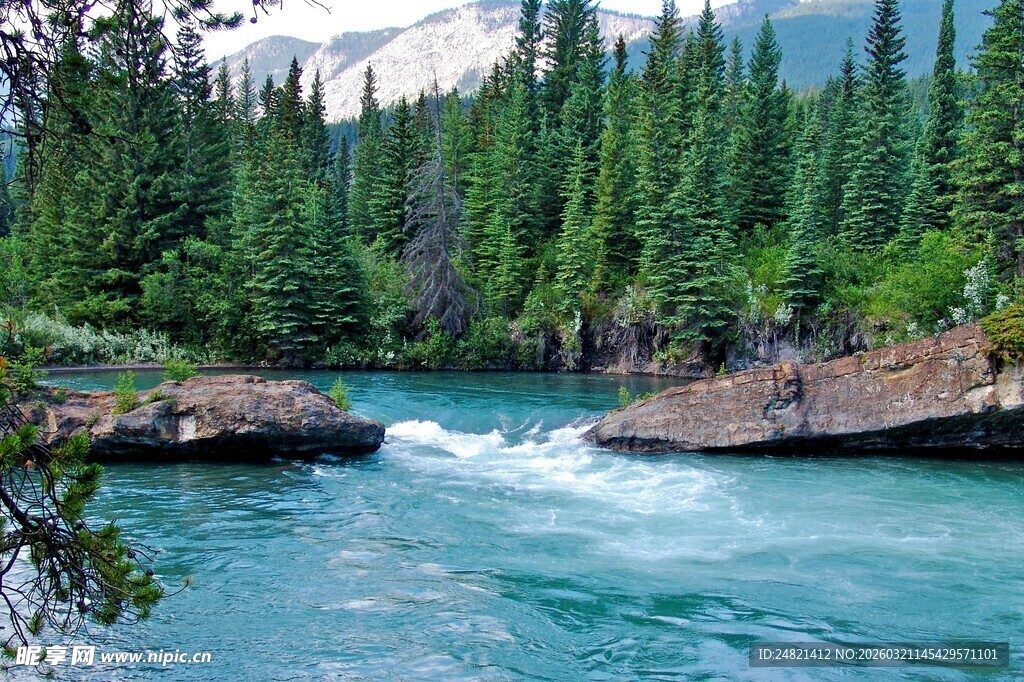 山间湍急的清澈河流景观