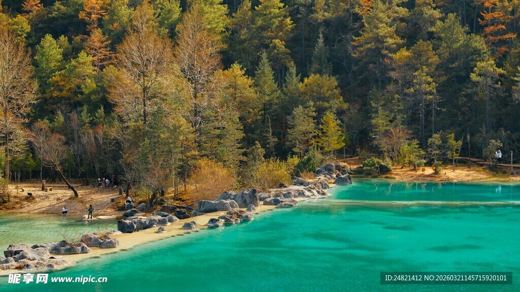 翠绿湖畔的多彩森林风光