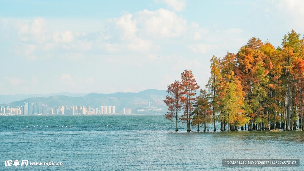 湖畔秋色美景如画