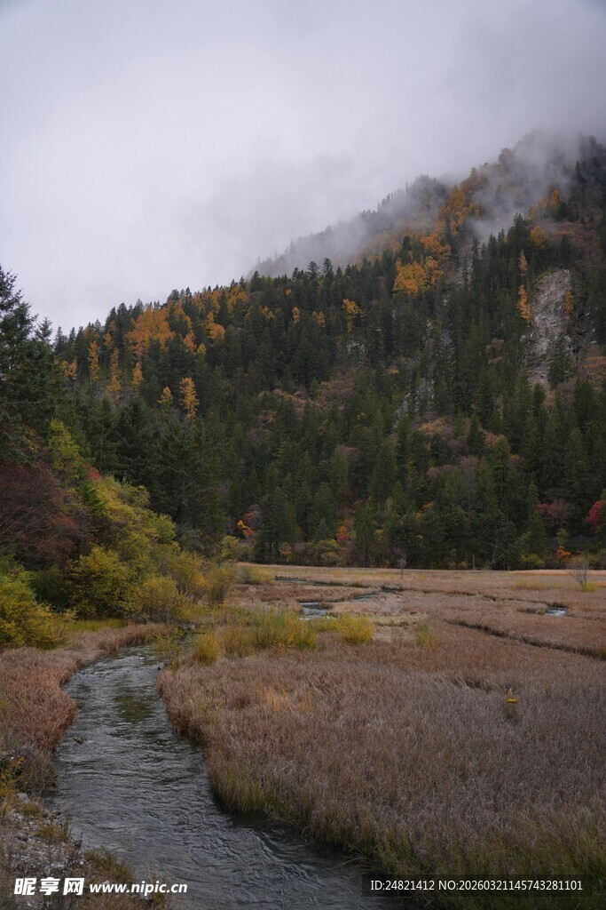 山间小溪畔的静谧秋景