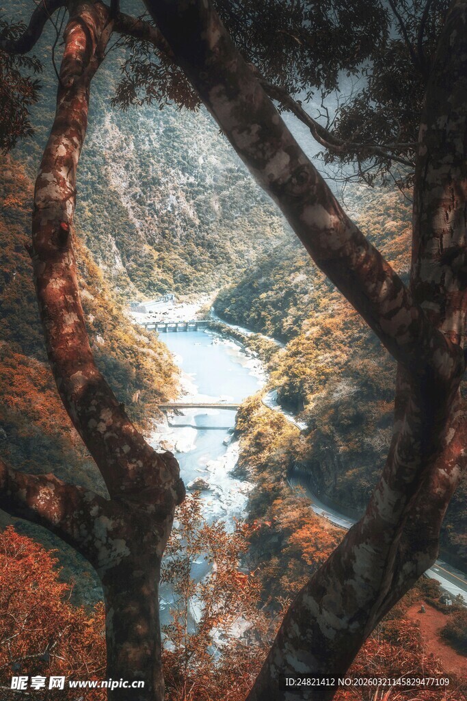 秋日山林间的静谧河流