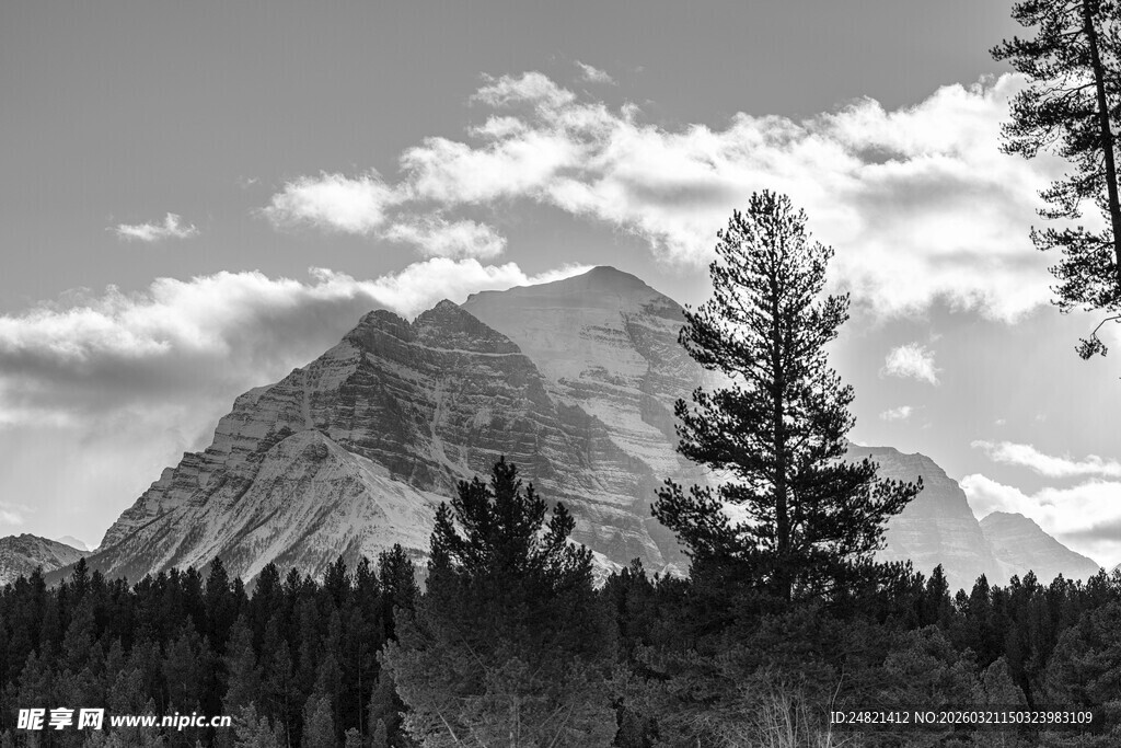 巍峨山峦与林间景致