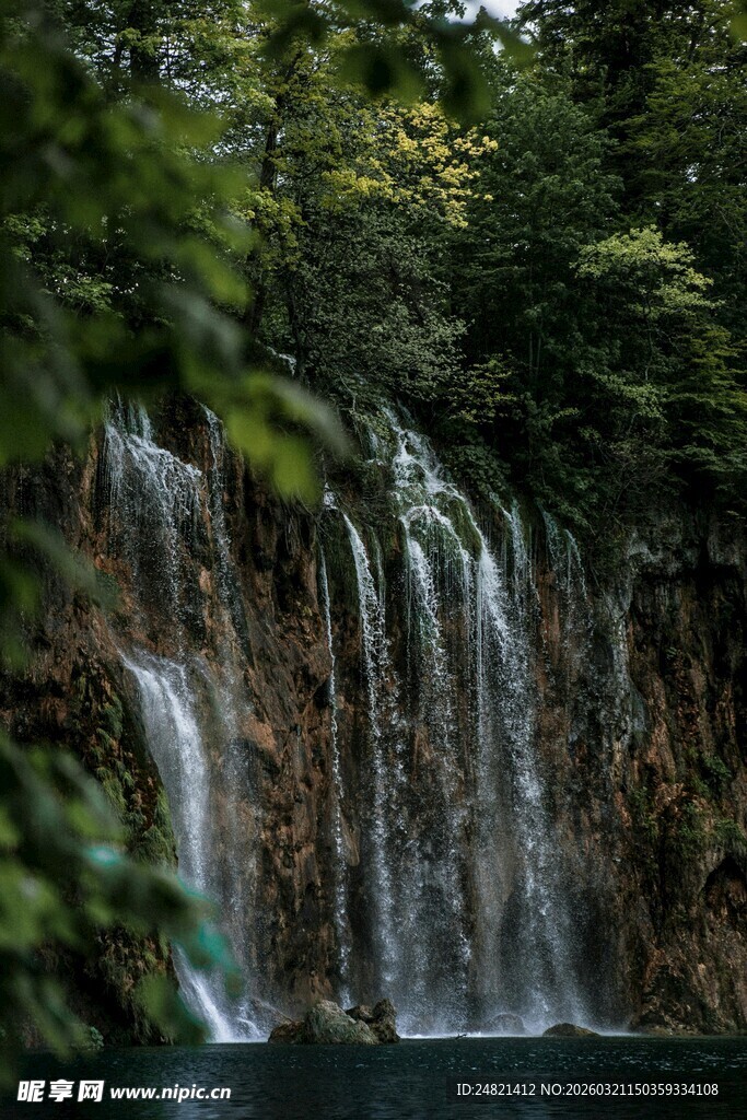 森林中的美丽瀑布景观
