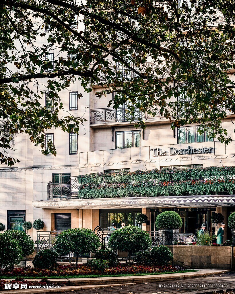 绿树环绕的雅致建筑