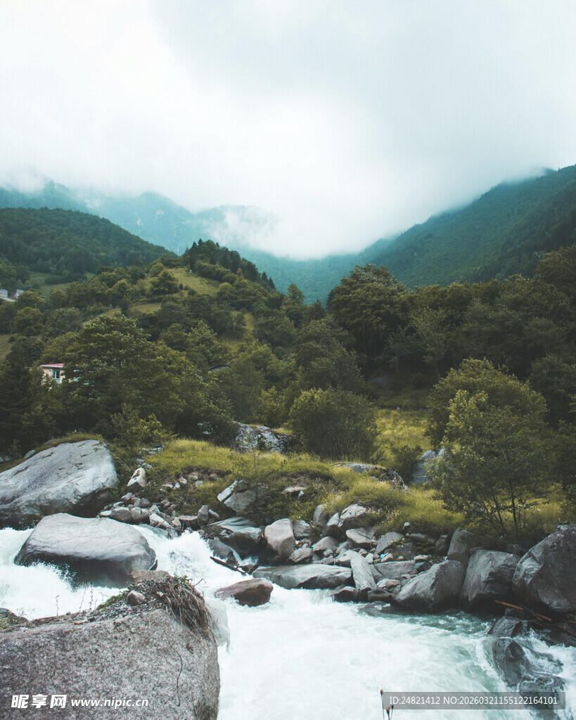 山间溪流旁的绿意景致