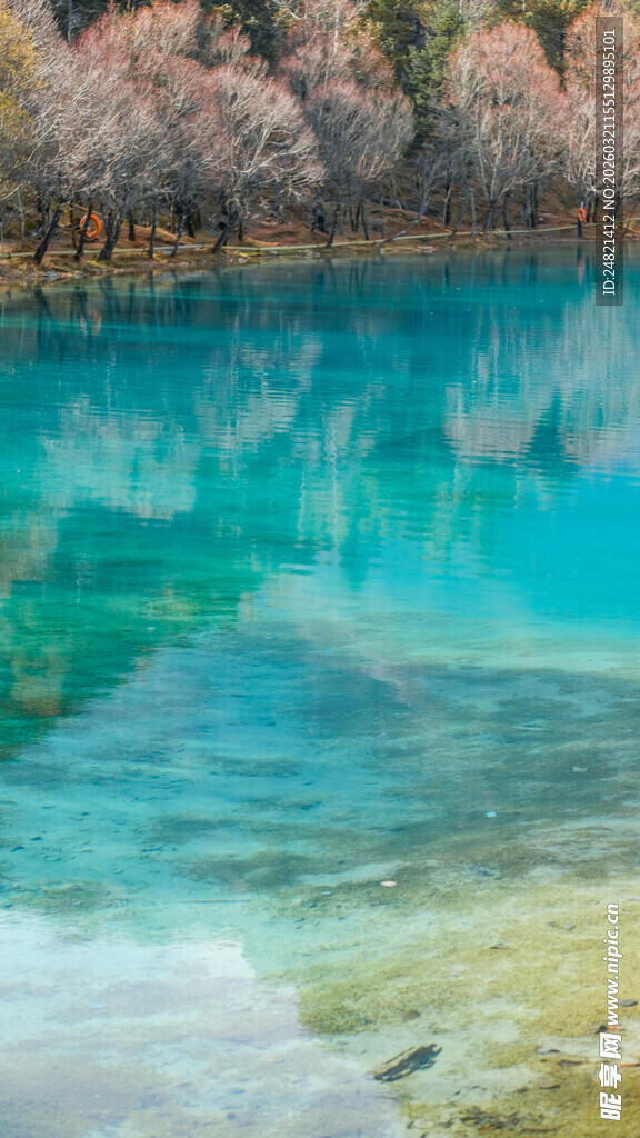 清澈蓝湖与岸边繁花倒影