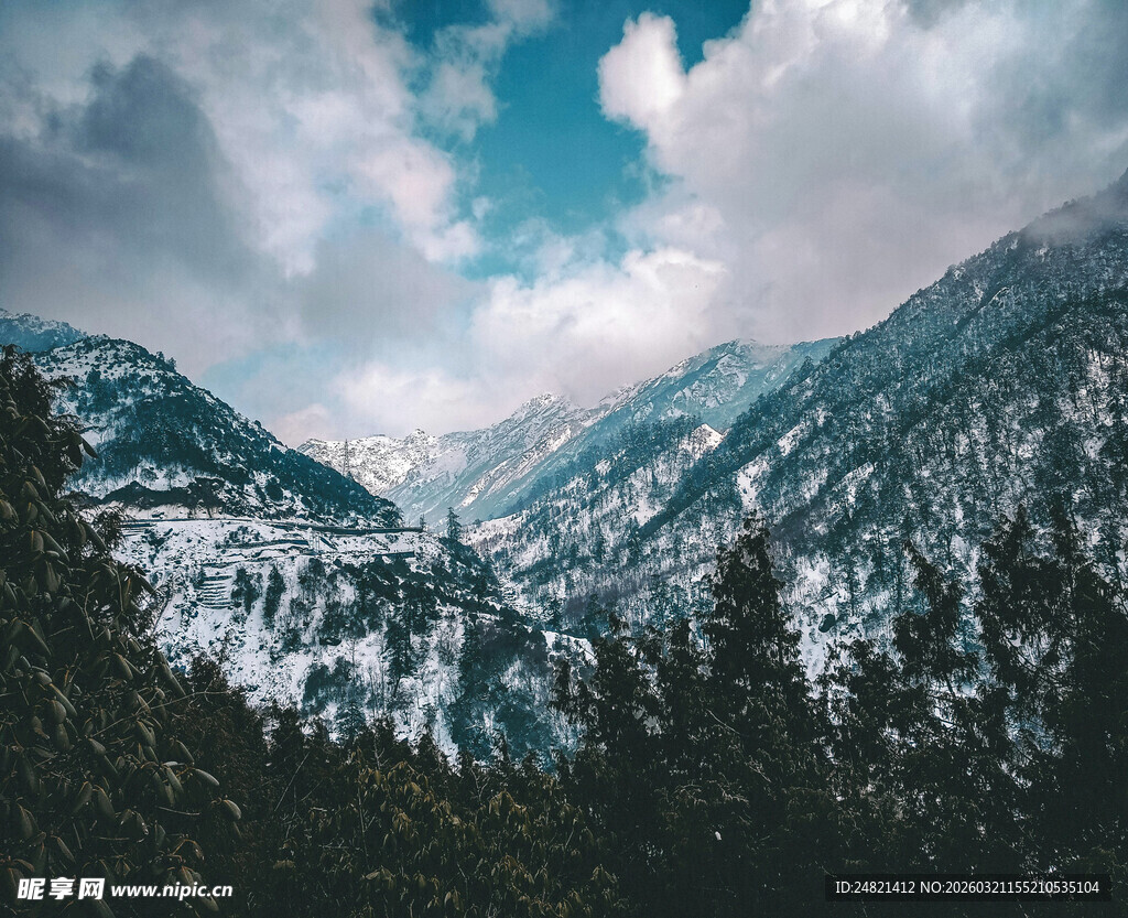 雪山森林壮丽自然景观