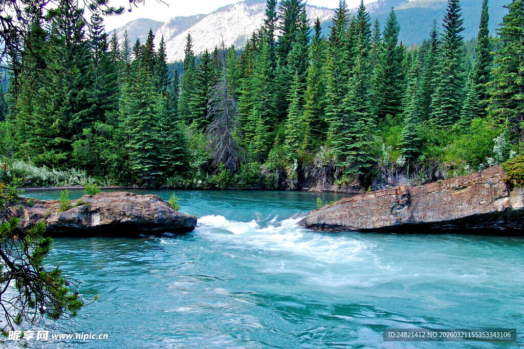 山间湍急溪流与茂密森林