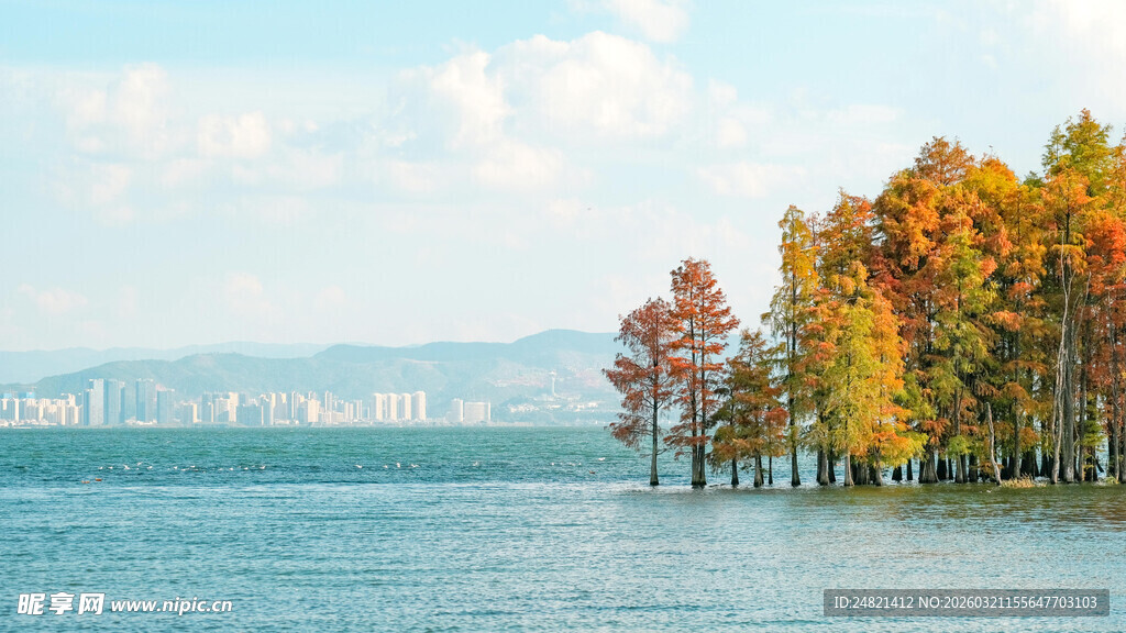 湖畔秋色中的多彩树木景观