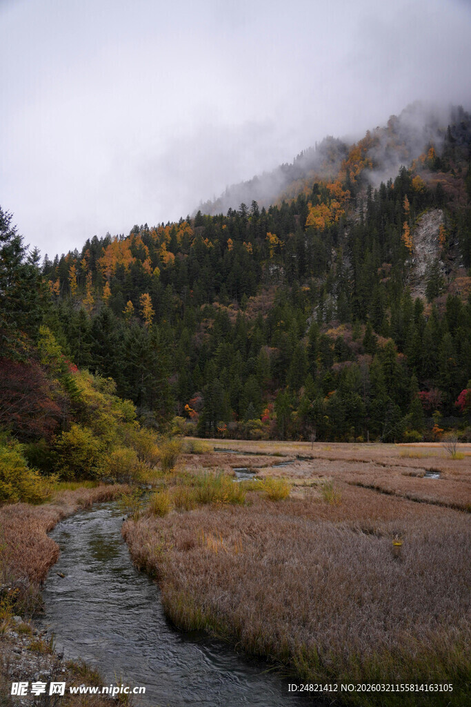 山间溪流秋景图