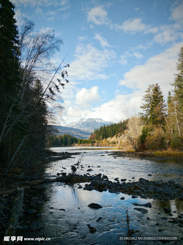 宁静河畔的自然美景