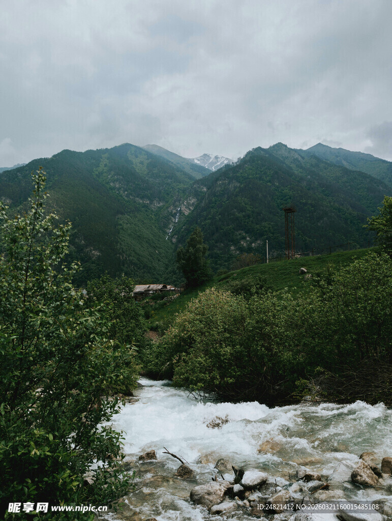 山间溪流伴葱郁植被