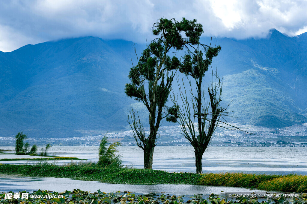 湖畔绿树伴远山美景
