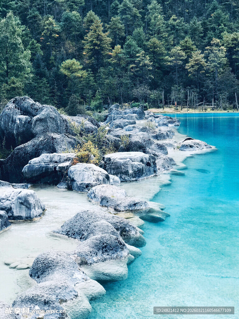 清澈蓝水旁的嶙峋岩石与森林