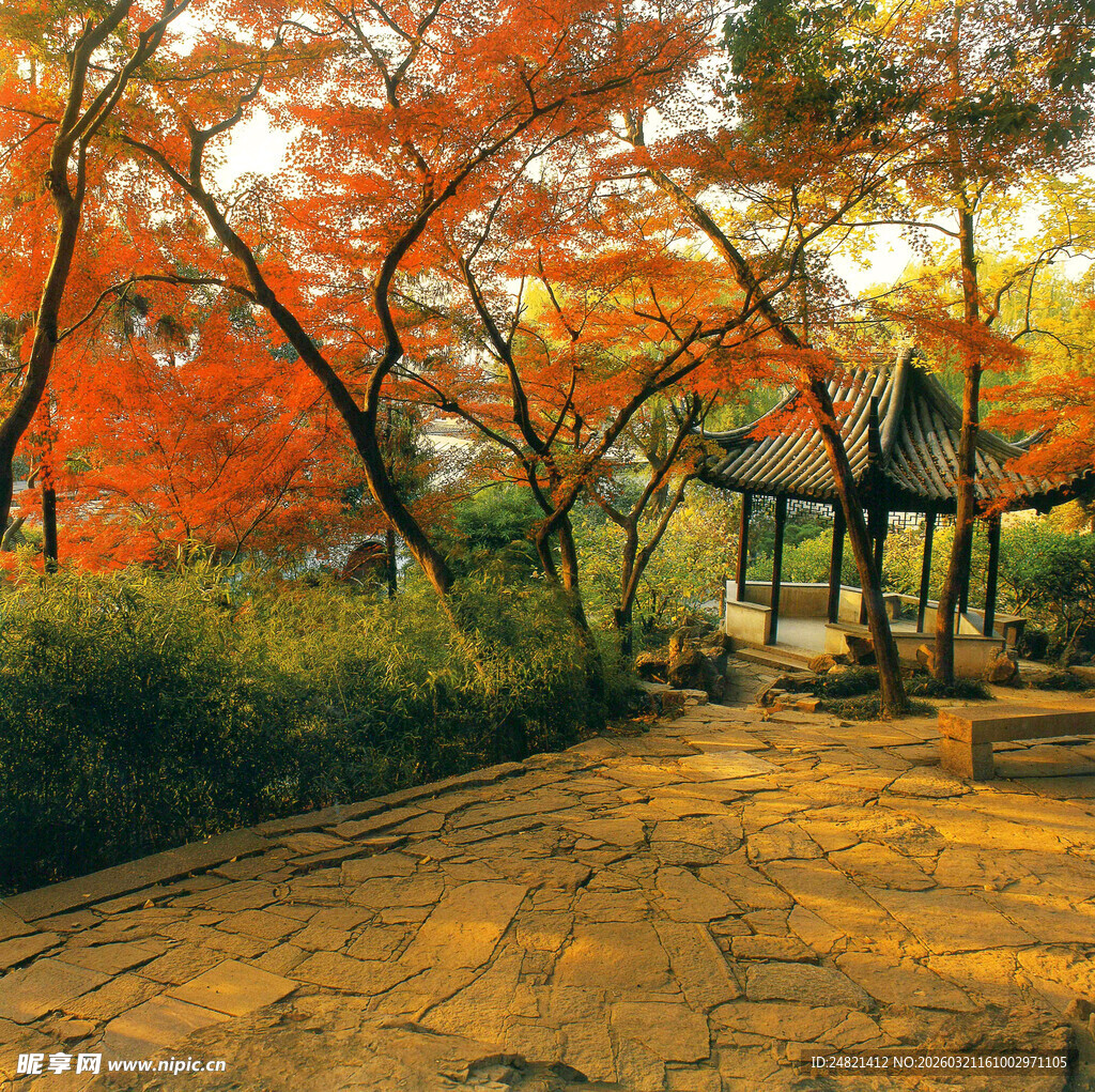 秋日枫林中的古朴庭院