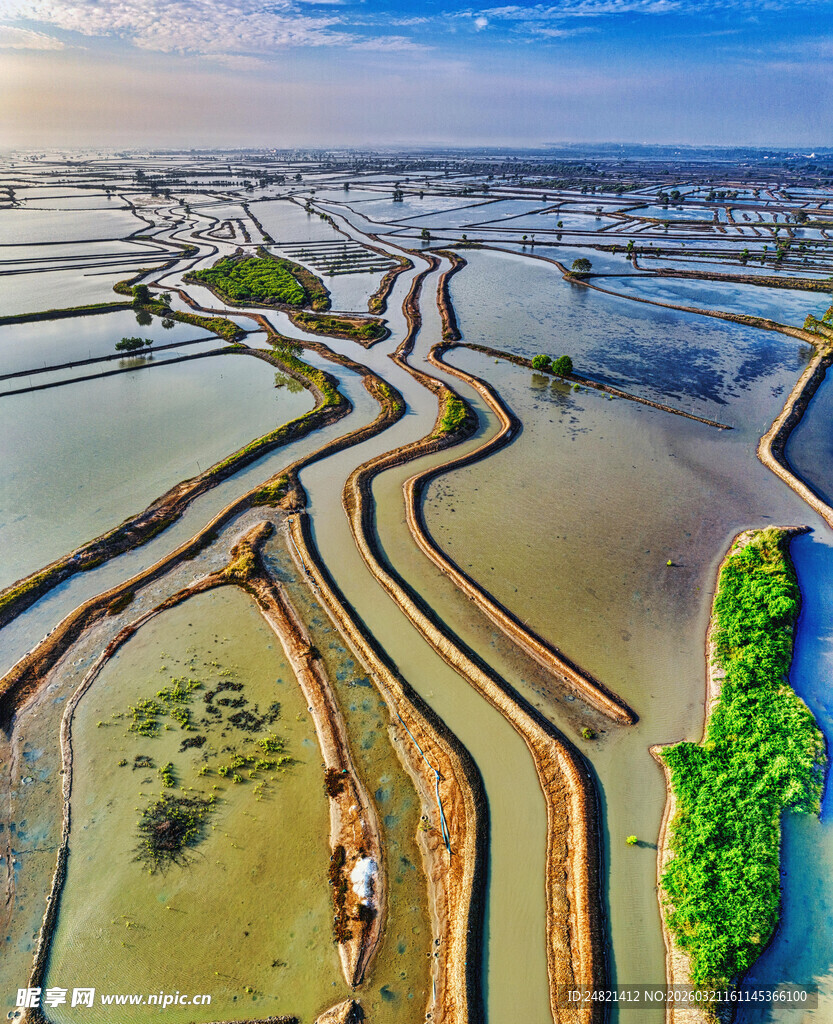 美丽蜿蜒的水田风光