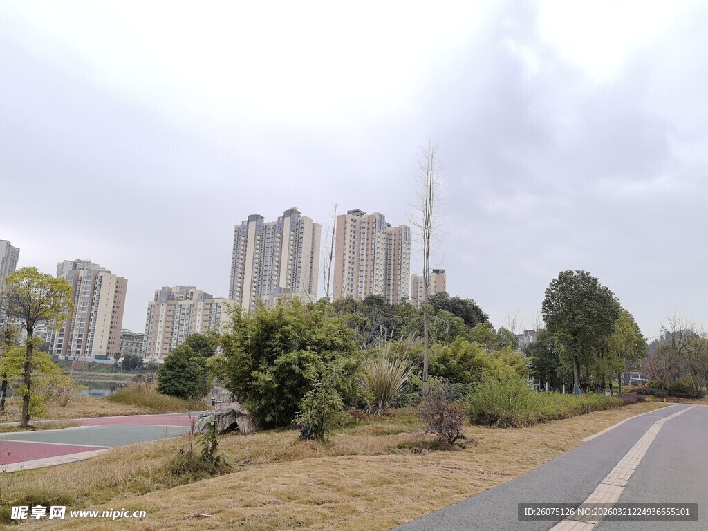 城市道路旁的高楼与绿植