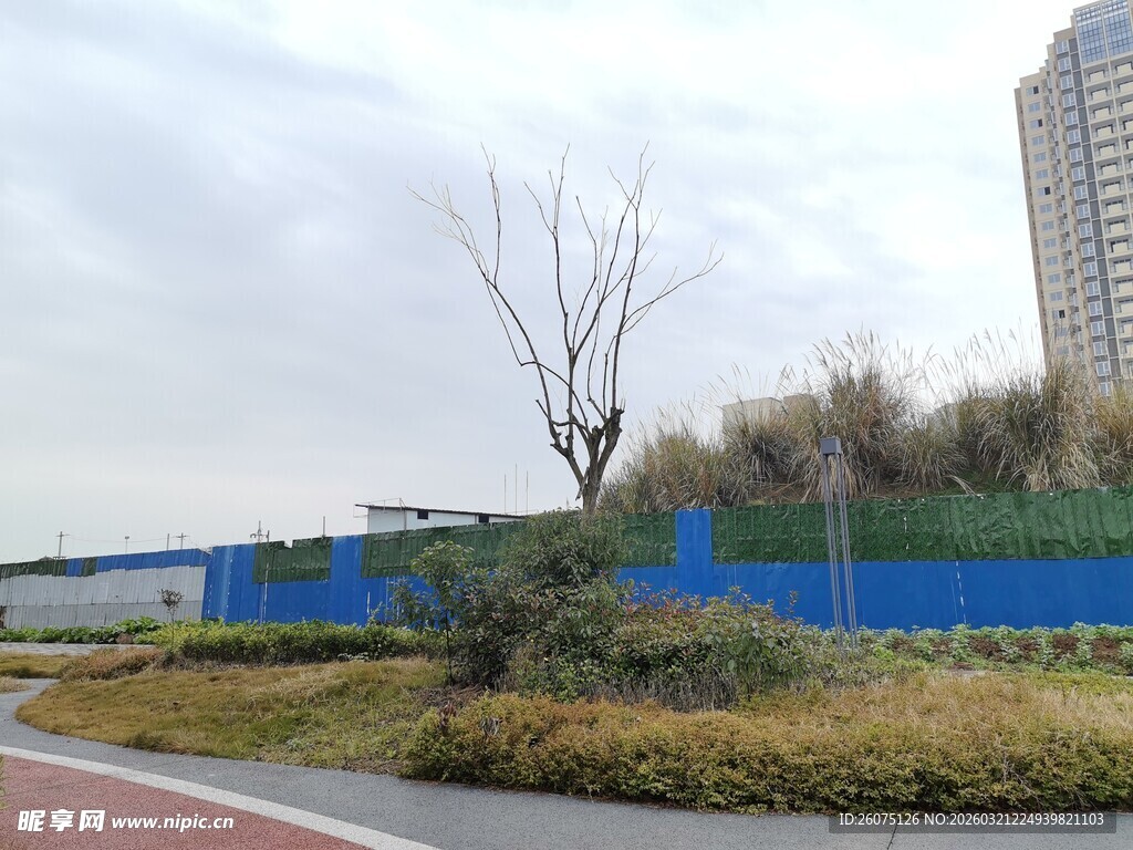 城市路边的绿植与建筑景观