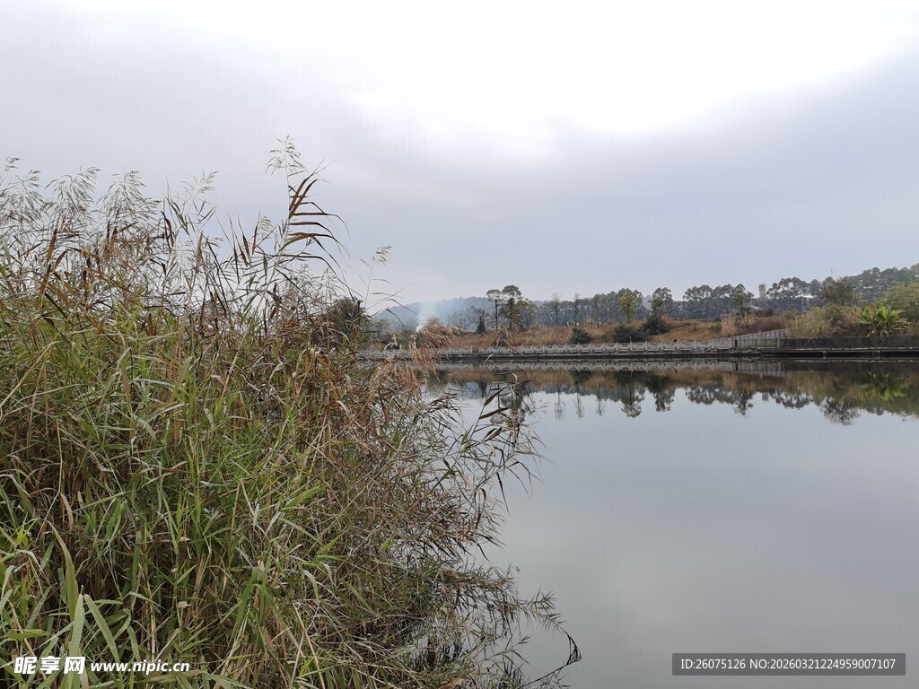 宁静湖畔风光