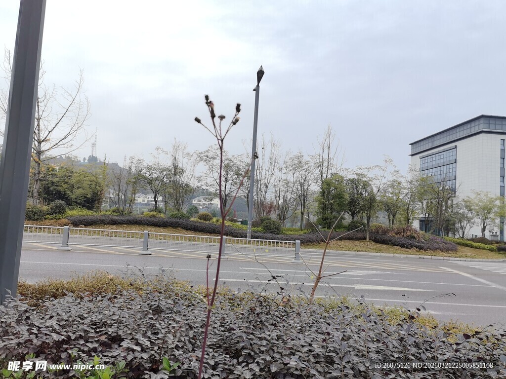 户外空旷道路旁的景致