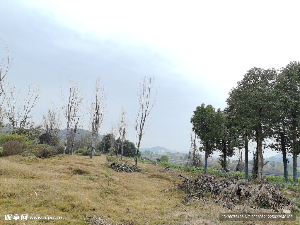 郊外荒野风景图