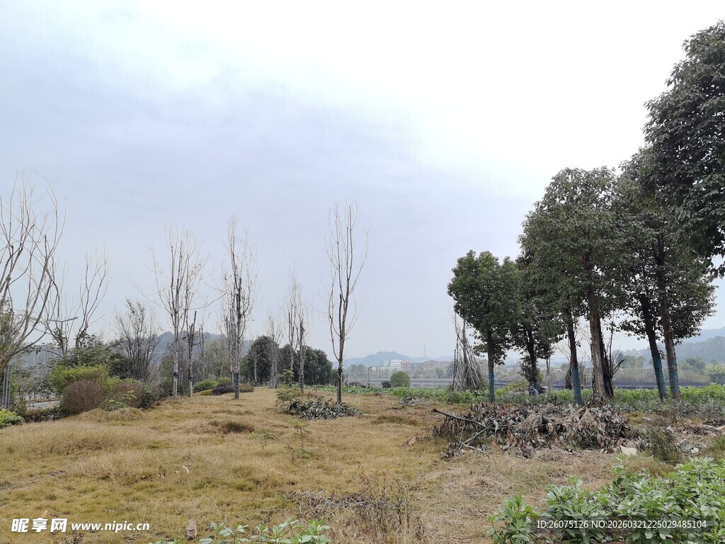 郊外空旷自然风景图