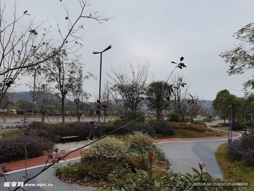 城市公园中的步道与绿植景观