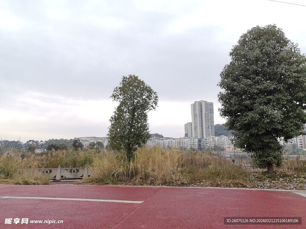 户外红跑道旁的绿树景观