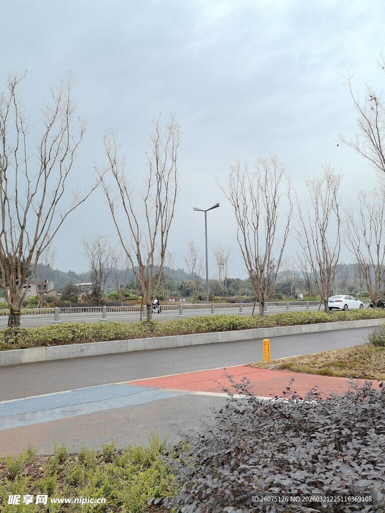 冬日城郊道路景观