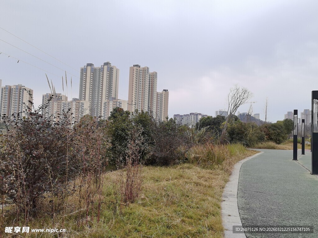 城郊小路旁的高楼与植被