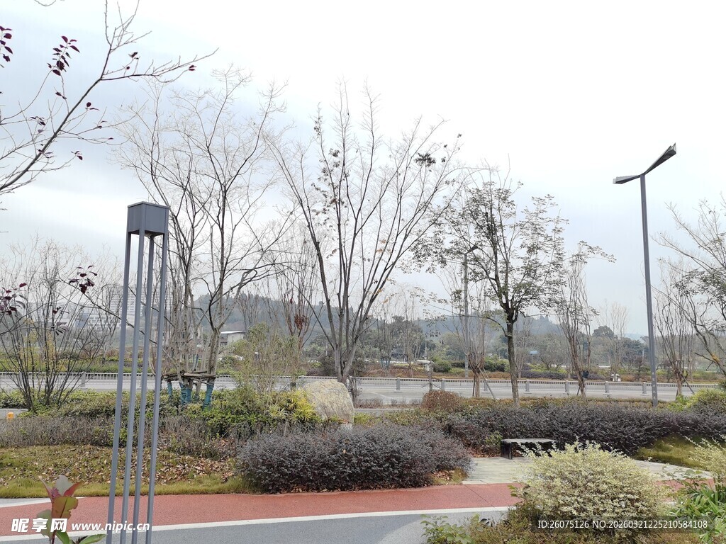 城市公园冬日景观