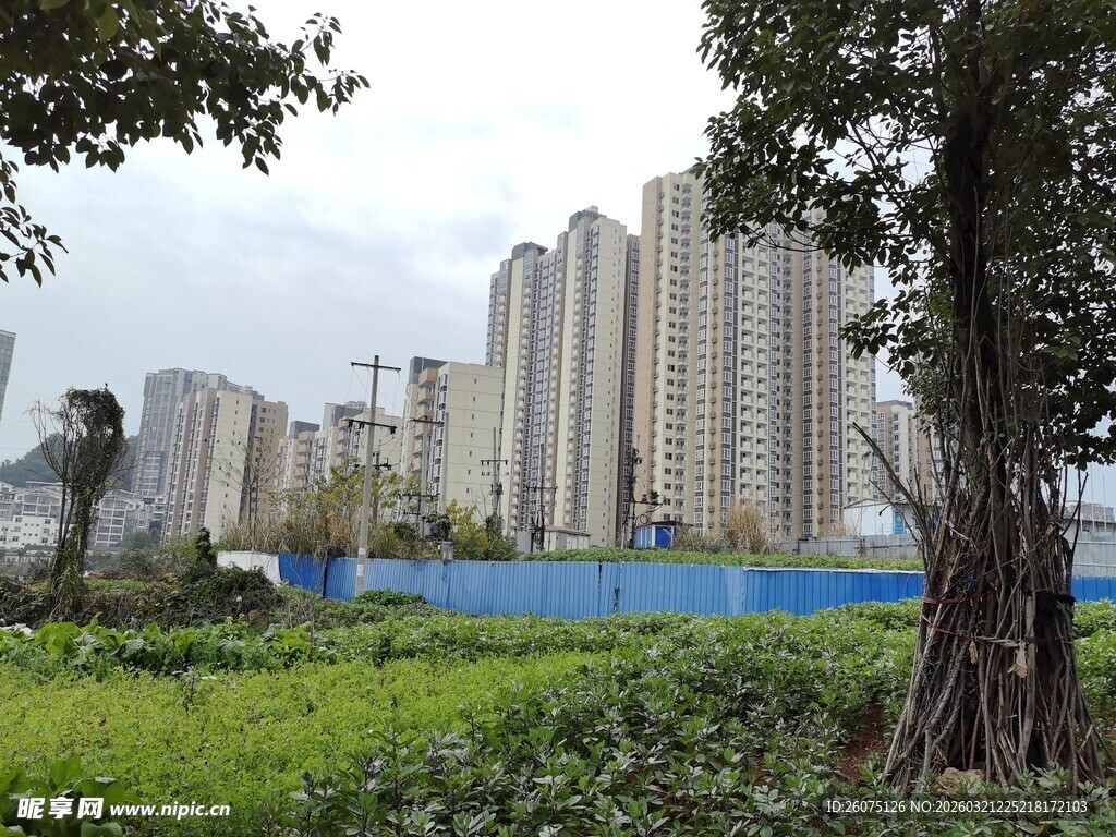 城市在建楼盘与绿植景观
