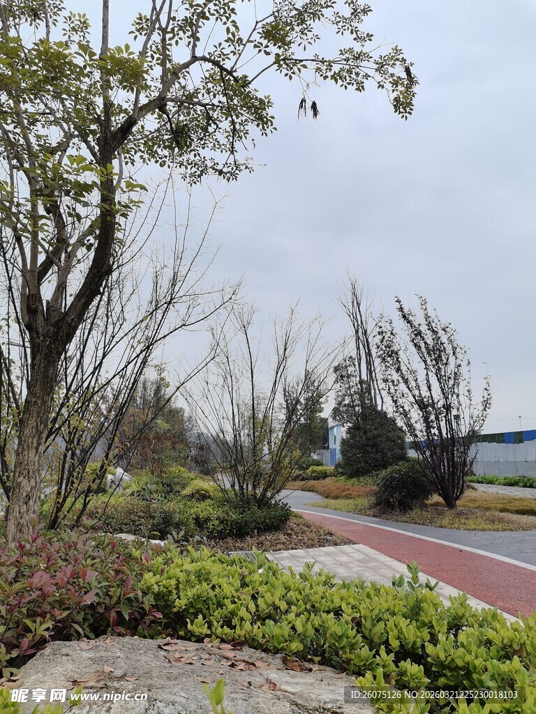 城市公园中的绿植与步道